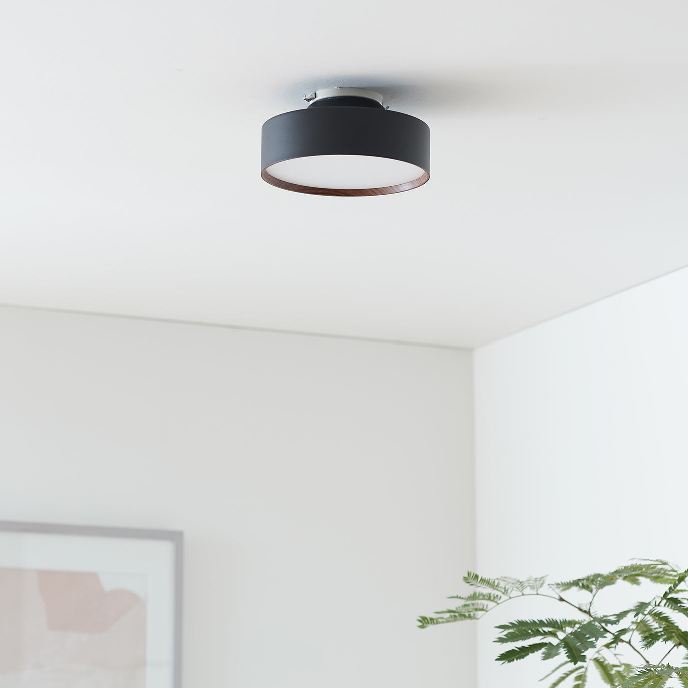 ブラック+ライトウッドカラー 消灯時