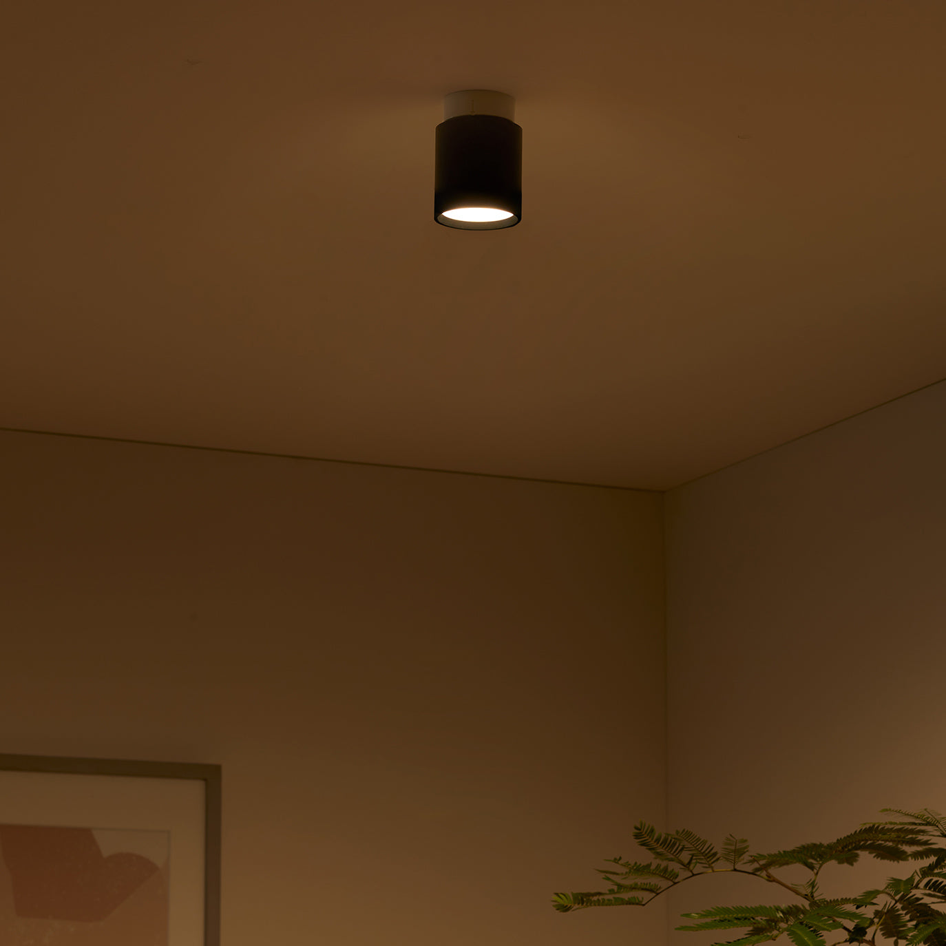 Grid-ceiling down light｜ARTWORKSTUDIO公式