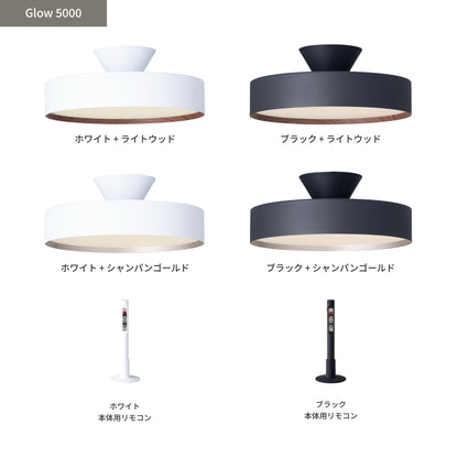Glow5000本体カラーと付属リモコン