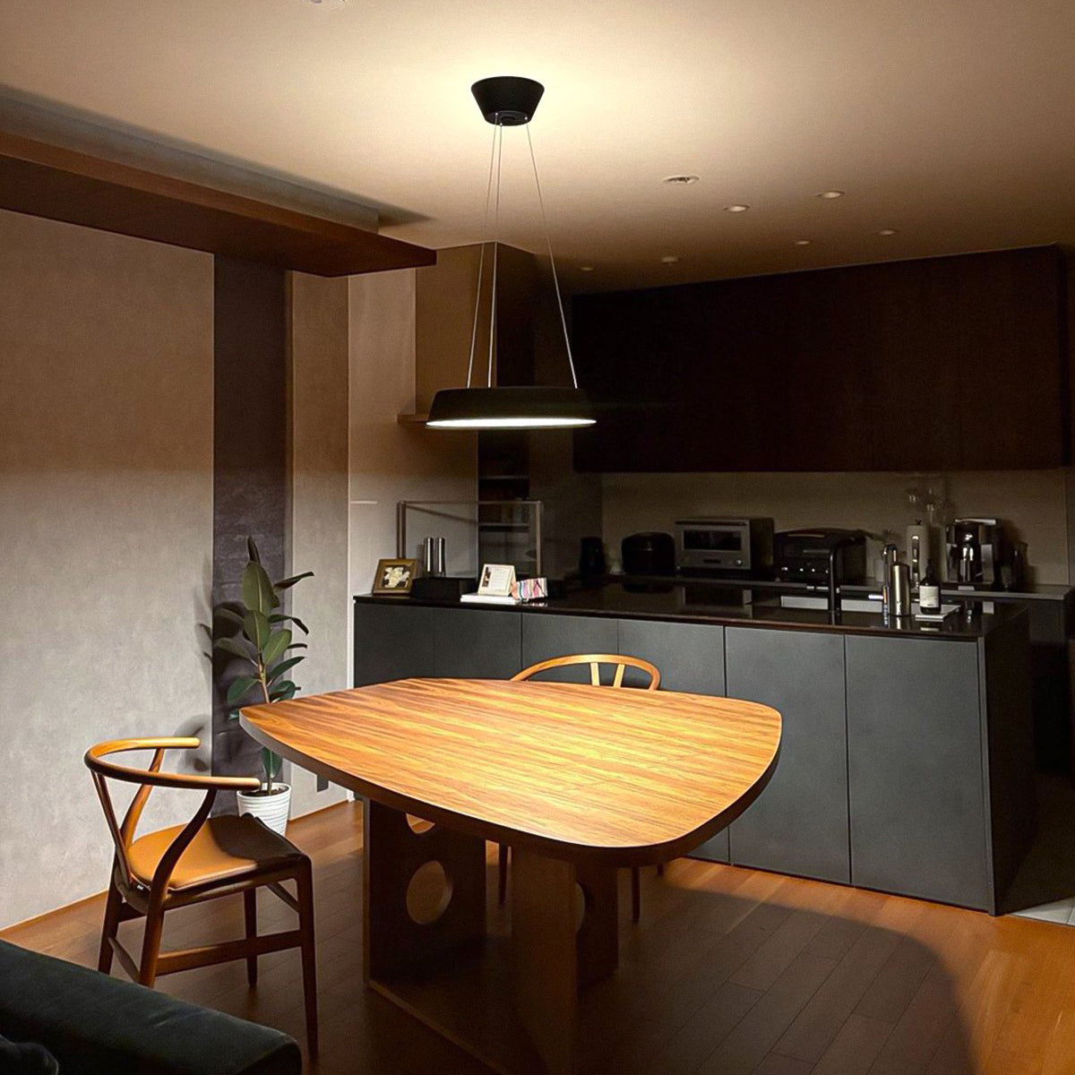 Loop LED-pendant light 設置事例