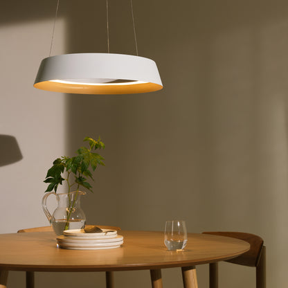 Loop LED-pendant light