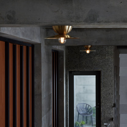 Probe-ceiling light L