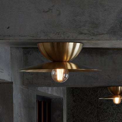 Probe-ceiling light L