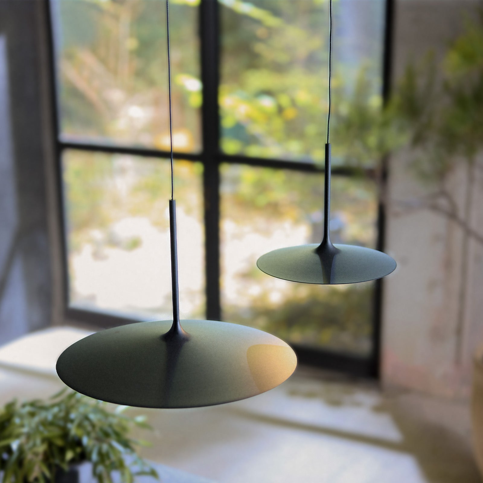 Shadow LED-lift pendant light L / S