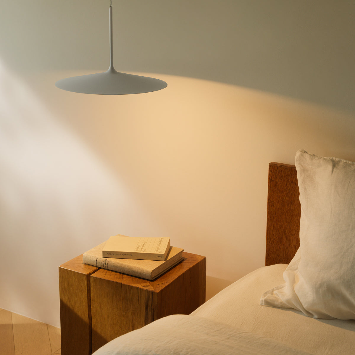 Shadow LED-lift pendant light L