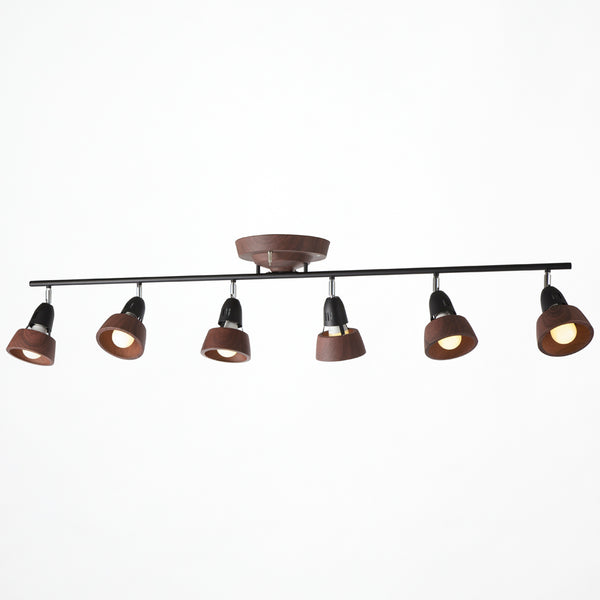 Harmony 6-remote ceiling lamp