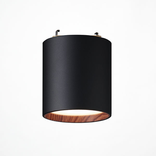 Grid PLUS-ceiling down light