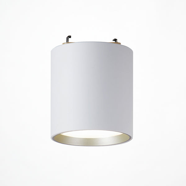 Grid PLUS-ceiling down light