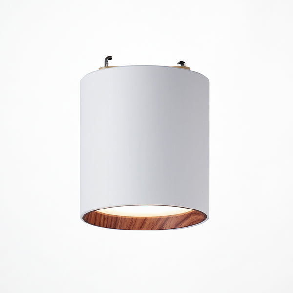 Grid PLUS-ceiling down light