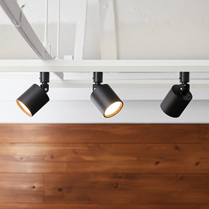 Grid PLUS-swingable duct down light