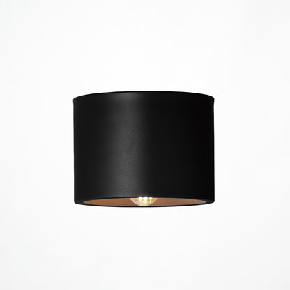 Eve-ceiling light