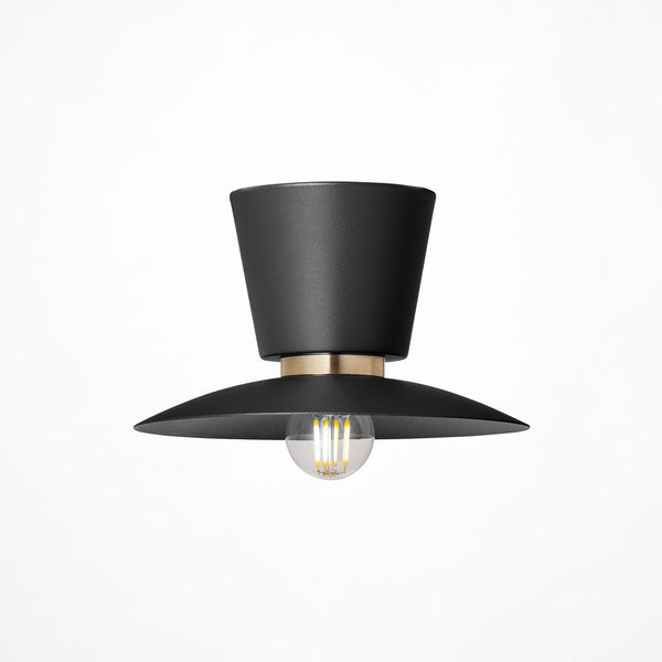 Probe-ceiling light S