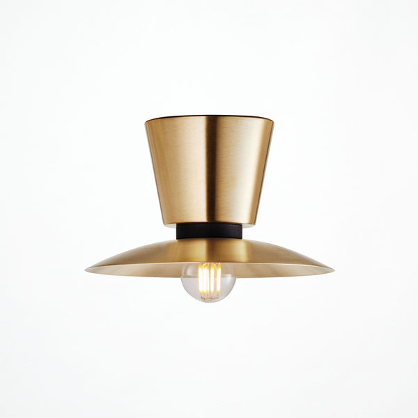 Probe-ceiling light S