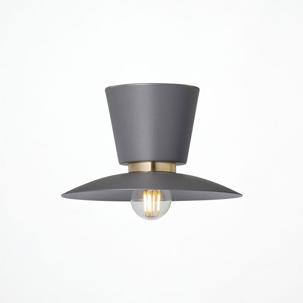 Probe-ceiling light S