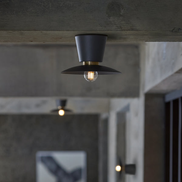 Probe-ceiling light S