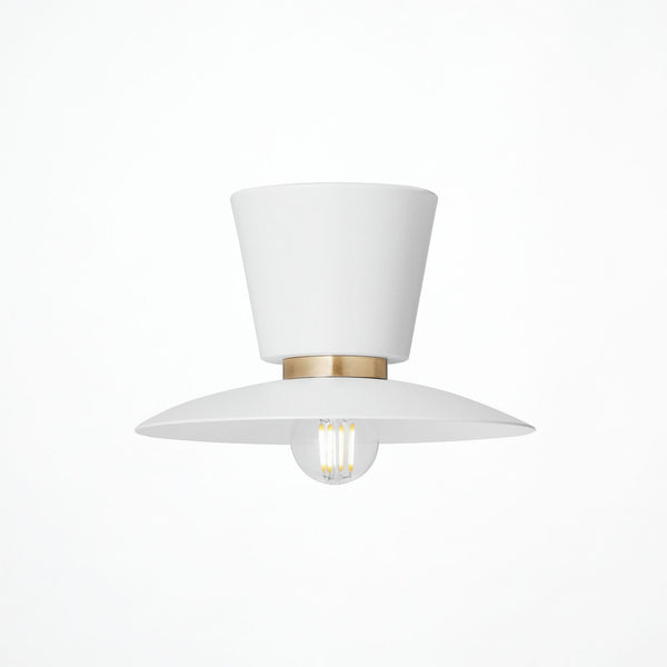 Probe-ceiling light S