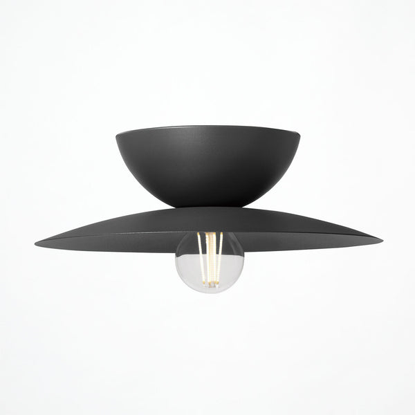 Probe-ceiling light L