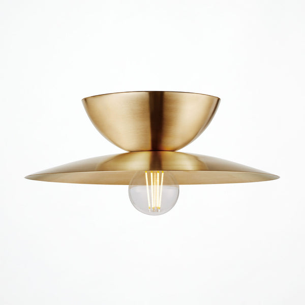 Probe-ceiling light L