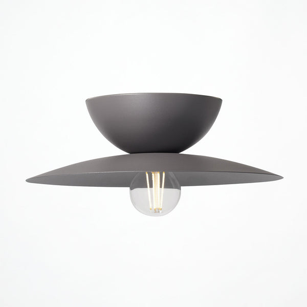 Probe-ceiling light L