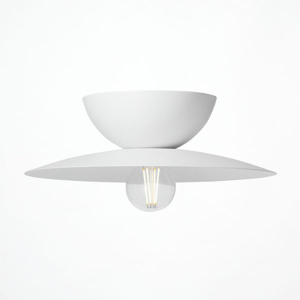 Probe-ceiling light L