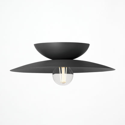 Probe-ceiling light L