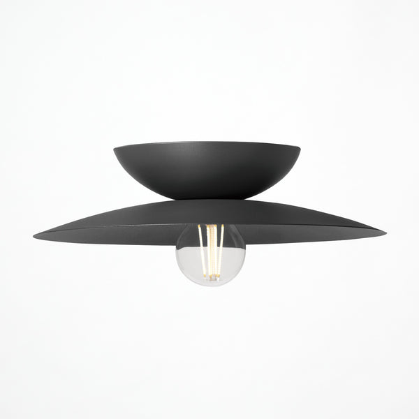 Probe-ceiling light L
