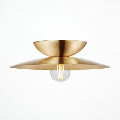 Probe-ceiling light L