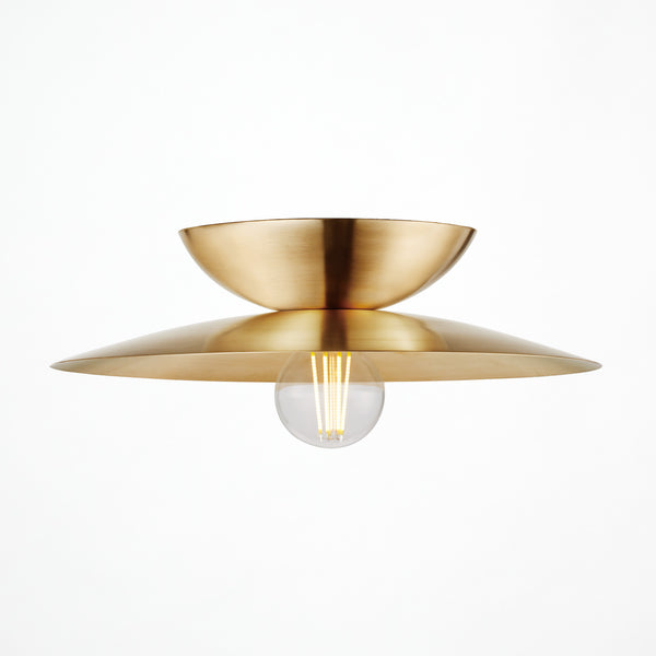 Probe-ceiling light L