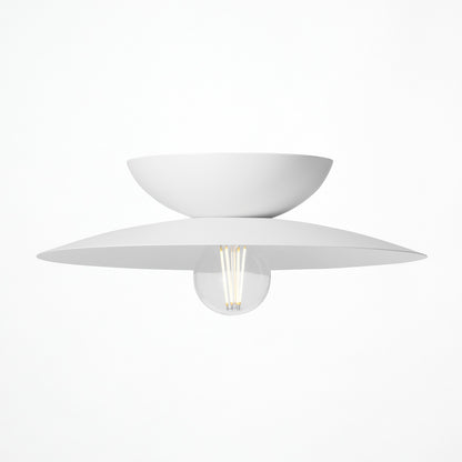 Probe-ceiling light L
